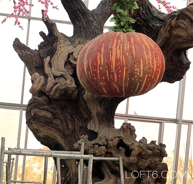 湖北李行农业国际大酒店室内生态餐厅景观雕塑设计与建设