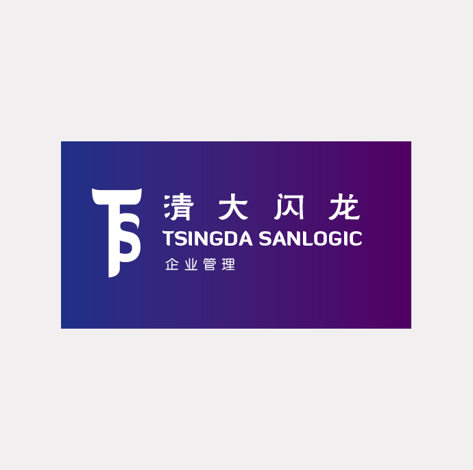 浙江清大闪龙企业管理 品牌设计LOGO设计 